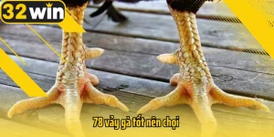 78-vay-ga-tot-nen-choi