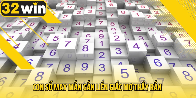 Con-so-may-man-gan-lien-giac-mo-thay-ran