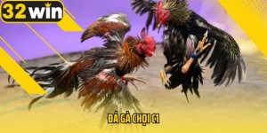 Da-ga-choi-C1