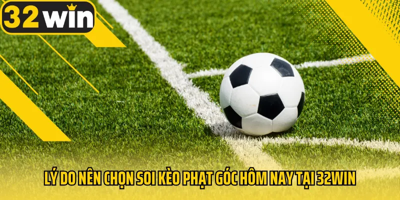 Ly-do-nen-chon-soi-keo-phat-goc-hom-nay-tai-32Win