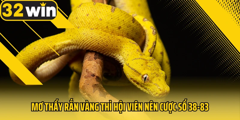 Mo-thay-ran-vang-thi-hoi-vien-nen-cuoc-so-38-83
