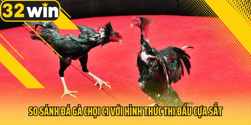 So-sanh-da-ga-choi-C1-voi-hinh-thuc-thi-dau-cua-sat
