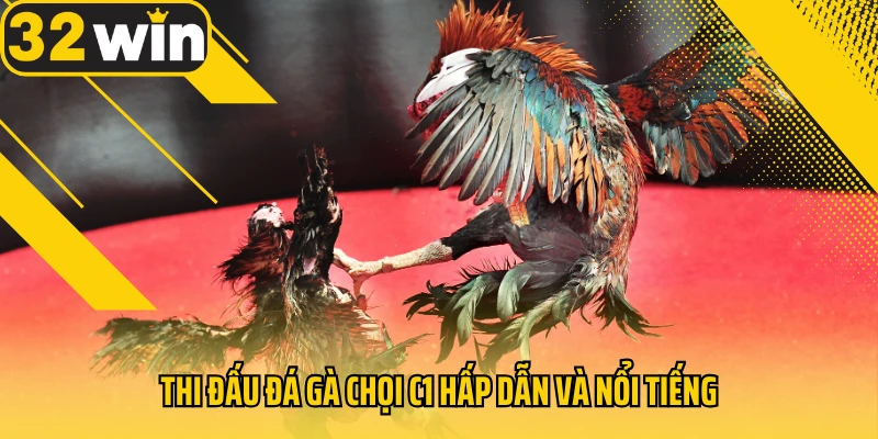 Thi-dau-da-ga-choi-C1-hap-dan-va-noi-tieng