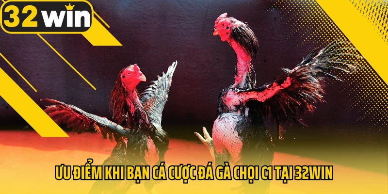 Uu-diem-khi-ban-ca-cuoc-da-ga-choi-C1-tai-32Win