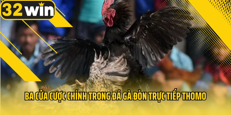 ba-cua-cuoc-chinh-trong-da-ga-don-truc-tiep-thomo