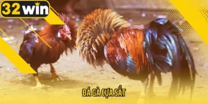da-ga-cua-sat