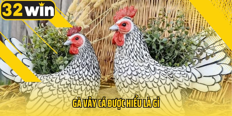 ga-vay-ca-duoc-hieu-la-gi