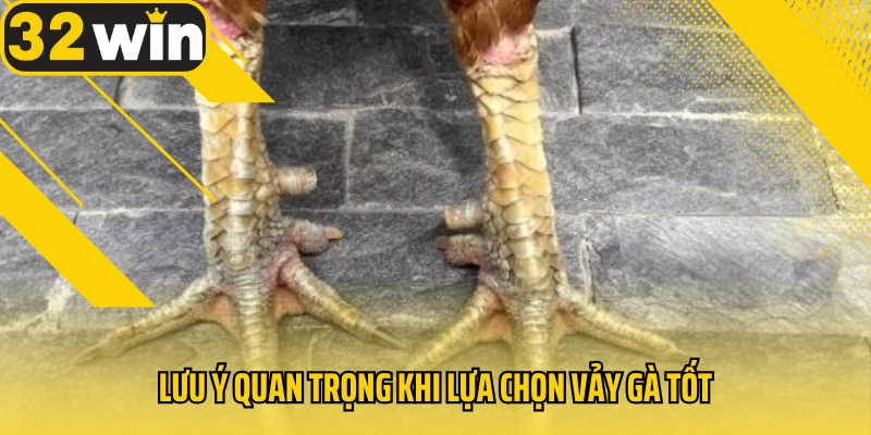 luu-y-quan-trong-khi-lua-chon-vay-ga-tot
