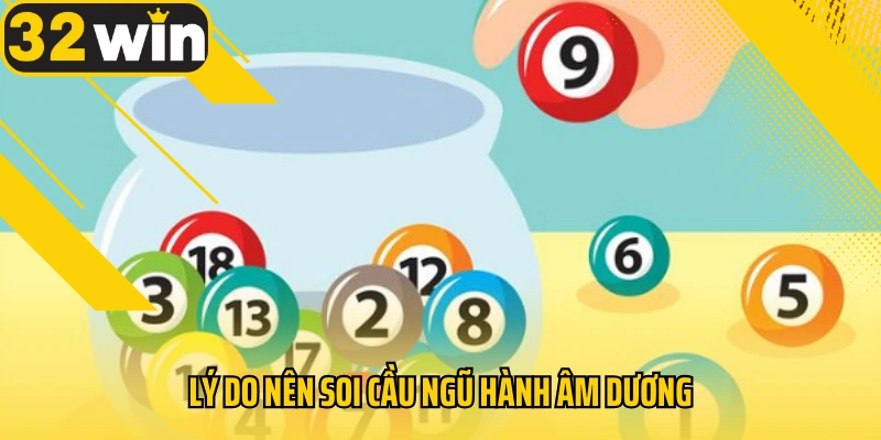 ly-do-soi-cau-ngu-hanh-am-duong