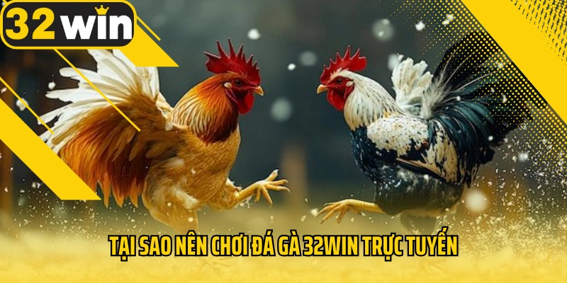tai-sao-nen-choi-da-ga-32win-truc-tuyen
