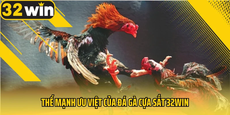 the-manh-uu-viet-cua-da-ga-cua-sat-32win