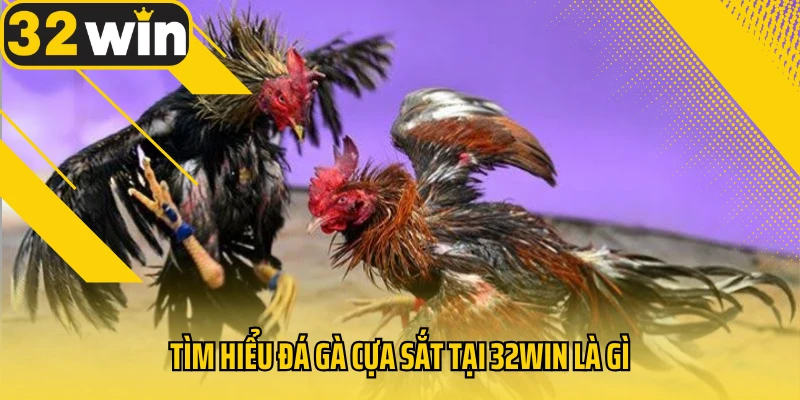 tim-hieu-da-ga-cua-sat-32win-la-gi